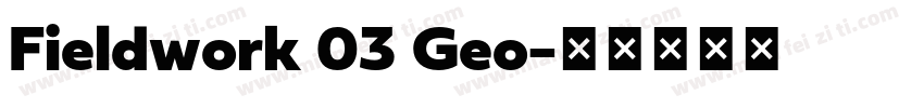 Fieldwork 03 Geo字体转换